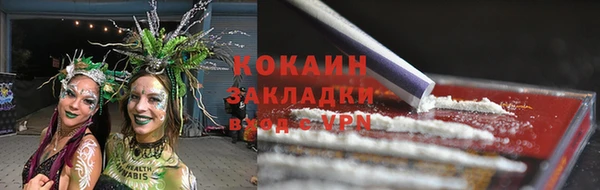 твердый Богородицк
