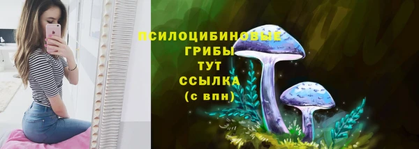 синтетический гашиш Богданович