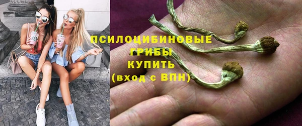 гидра Бородино