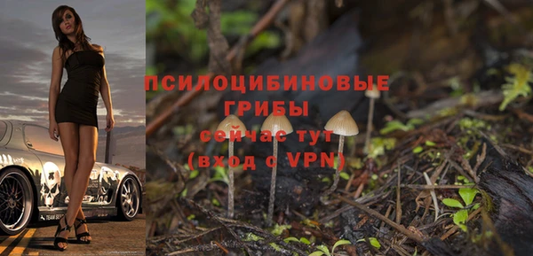 твердый Богородицк