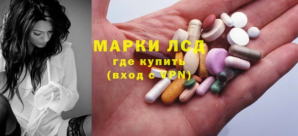 гидра Бородино